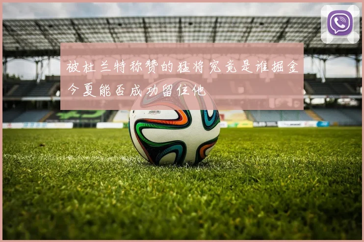 被杜兰特称赞的猛将究竟是谁掘金今夏能否成功留住他